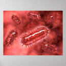 Search for bacterium posters Microorganism