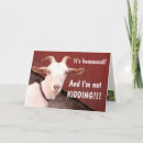 Search for funny goat cards Farm animals