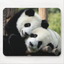 Search for bamboo mousepads Bear