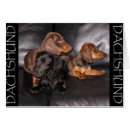 Search for dog other Canine