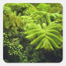 Search for fern stickers Pacific
