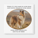 Search for coated magnets Dog