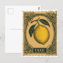 Search for lemon fruit postcards Vintage
