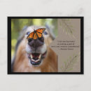 Search for animal quotes postcards Nature