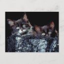 Search for containers postcards Horizontal