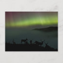Search for northern lights pictures postcards Nature