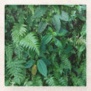 Search for green fern coasters Floral