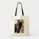 Search for window bags Pet