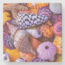 Search for shells coasters Colourful