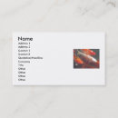 Search for koi business cards Carp