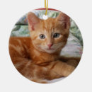 Search for orange kitten christmas tree decorations Red