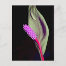 Search for blüte postcards Blatt