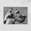 Search for great dane business cards Pets