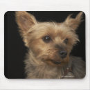 Search for animal rights mousepads Nature