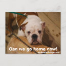 Search for canned postcards Home