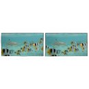 Search for fish pillowcases Shark