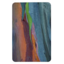 Search for gum magnets Usa