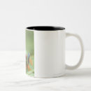 Search for red eyed tree frog mugs Shells