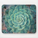 Search for perennials mousepads Nature