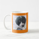 Search for fanny mugs Pet