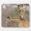 Search for nature reserve mousepads Wildlife
