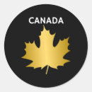 Search for cricket bat stickers Swing bowling