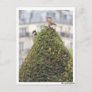 Search for fotos postcards Fotografie