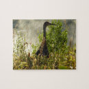 Search for sandhill crane puzzles Nature