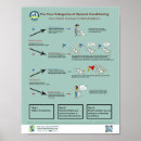 Search for dog training posters Behaviour