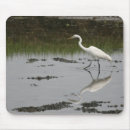 Search for egrets mousepads Great