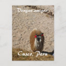 Search for wool postcards Llama