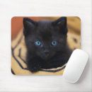 Search for black cat mousepads Modern