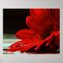 Search for gerber art Red