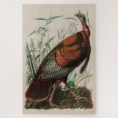 Search for audubon birds puzzles Nature