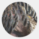 Search for wild turkeys stickers Nature