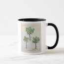 Search for curative mugs 15th