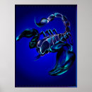 Search for predatory animal Scorpion