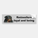 Search for rottweiler gear bumper stickers Puppy