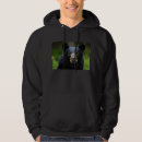 Search for wildlife clothing Outdoors