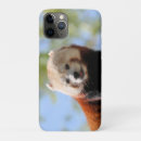 Search for cute red panda iphone cases Endangered