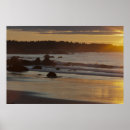 Search for pointe art Sunrise
