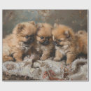 Search for pomeranian wrapping paper Puppy