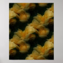 Search for rose pattern posters Nature