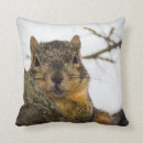 Search for squirrel cushions Forest