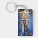Search for sierra key rings Forest