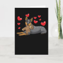 Search for blue heeler cards Australian cattle dog