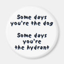 Search for some magnets Humour