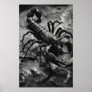 Search for scorpion art Insect