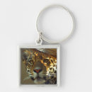 Search for wildcat key rings Africa