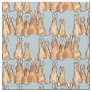 Search for cute bunny fabric Nursery